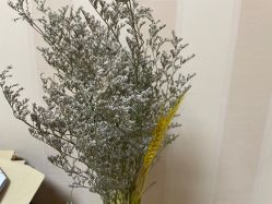 -深圳广和门诊部·整形医疗美容