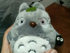 -PAWTOY爪e玩偶店(天兴罗斯福店)