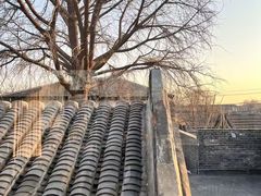-自如ZSPACE四合院艺术餐厅