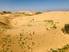 -银肯塔拉沙漠生态旅游景区