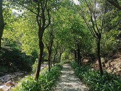 -广州白江湖森林公园