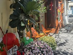 -溪岸路花鸟市场