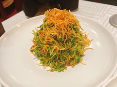 巧拌豆苗-四季民福烤鸭店(王府井灯市口店)