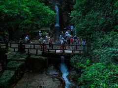 -鼎湖山风景区