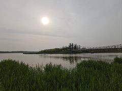 -西青郊野公园