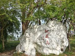 -金鸡湖桃花岛