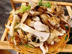 -易门野生菌府·菌海森林(月牙潭公园店)