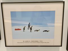 -罗红摄影艺术馆