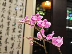 -明阁 Ming Court(广州朗豪酒店)