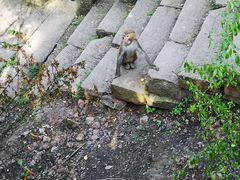 -重庆雨台山风景区
