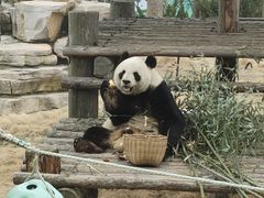 -西霞口神雕山野生动物世界