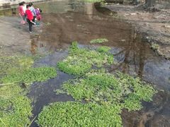 -白水寺森林公园