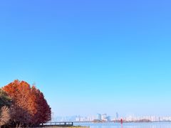 -长广溪湿地公园