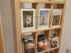 -猫的天空之城概念书店(杭州南宋御街店)