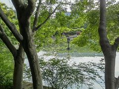 -嘉定紫藤园