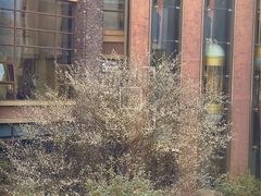 -韶关经律论国际酒店温泉