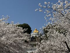 -苏州上方山国家森林公园