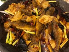 -老雒阳面馆·水席·洛阳菜(王城路店)