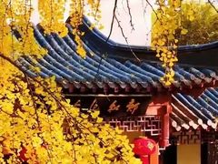 -郑和公园