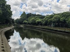 -顺峰山公园