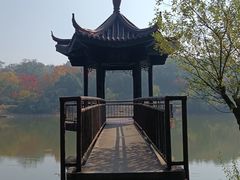 -宜兴龙背山森林公园
