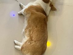 -平行世界·猫咖(首经贸店)