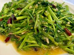 -山菌美食苑(振兴路店)