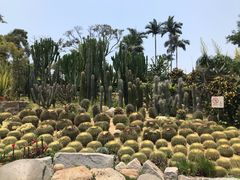 -胡里山炮台
