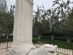 -元大都城垣遗址公园