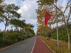-上海长兴岛郊野公园