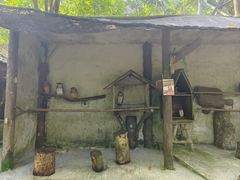 -吉隆坡雀鸟公园