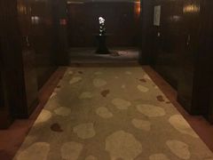 -成都凯宾斯基饭店