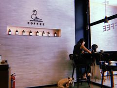 -野鸽子咖啡(航空路店)