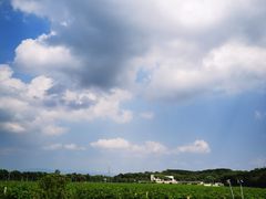 -北京张裕爱斐堡酒庄