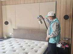 -Liteclear日本进口强效除甲醛检测治理(旗舰店)