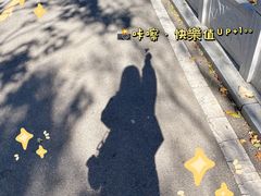 -北宫国家森林公园