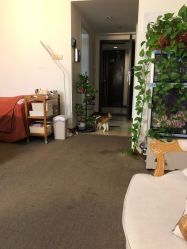 -尚美日式美甲美睫工作室