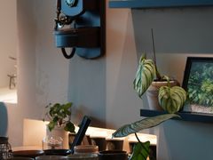 -luutosa  cafe & tea 鹿兔山