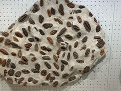 -辽宁古生物博物馆