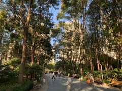 -苏州河梦清园环保主题公园