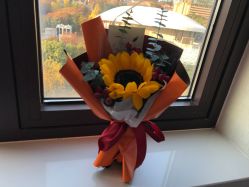 -海豚湾高端月子会所(黄浦店)