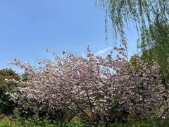 -苏州太湖国家湿地公园
