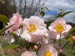 -福州大学(旗山校区)