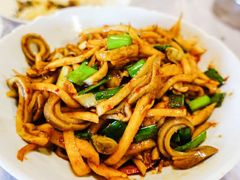 -壹盏灯(惠农店)