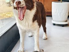 -时间抽屉(裕华万达广场店)