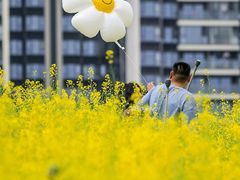 -光明小镇欢乐田园