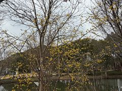 -同里国家湿地公园