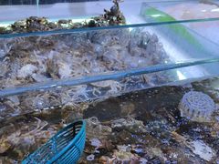 -聚盛源蒸汽海鲜火锅烤肉自助(巨川金海岸购物广场店)