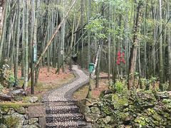 -桃花岛风景旅游区