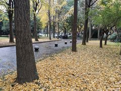 -西南交通大学(九里校区)